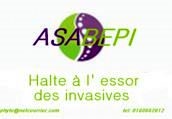 Logo Asabepi