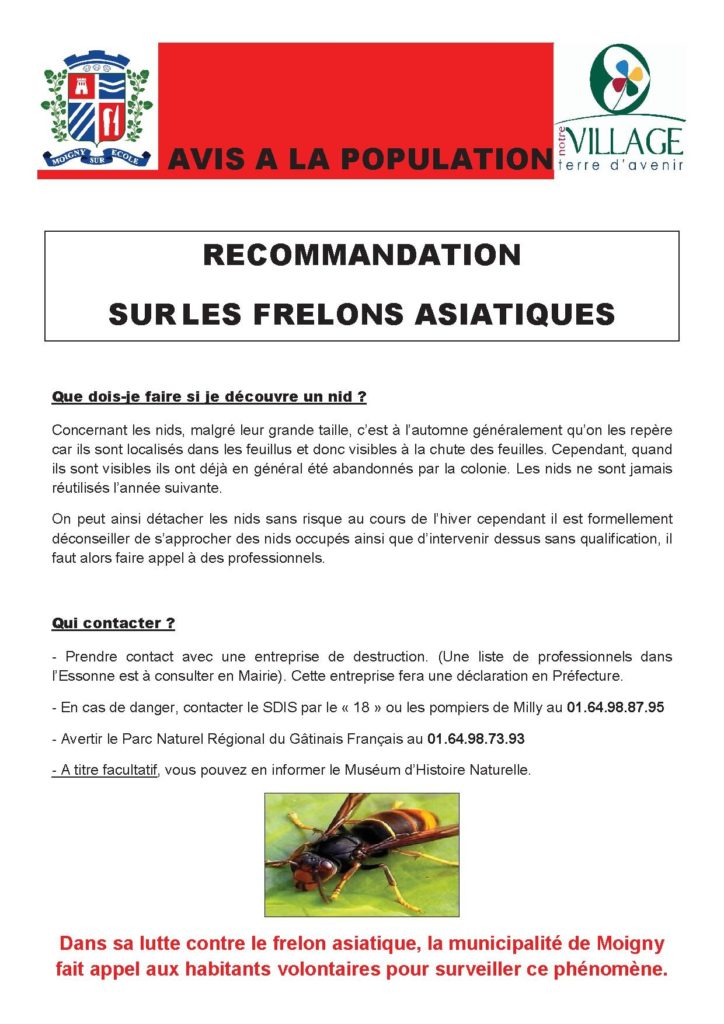 Frelons asiatiques Affiche V2015