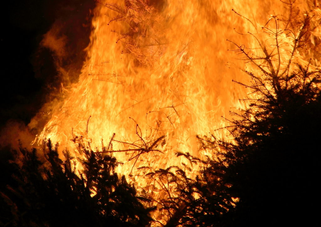 Flambée des sapins